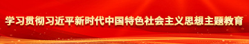 激情艹逼视频学习贯彻习近平新时代中国特色社会主义思想主题教育